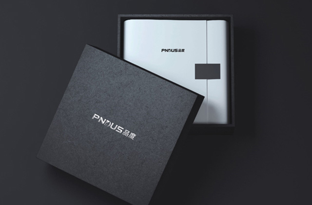 PNDUS | 策劃標(biāo)志設(shè)計(jì)