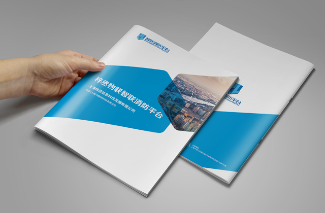 上海梓丞｜系統(tǒng)軟件畫冊策劃設(shè)計
