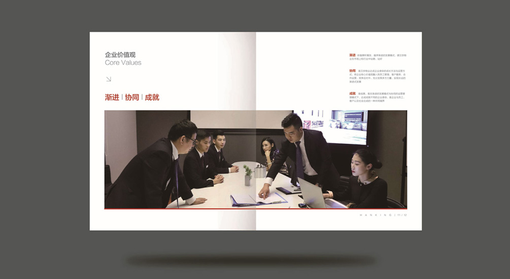 1613731253779864.jpg 案例祥情7.jpg