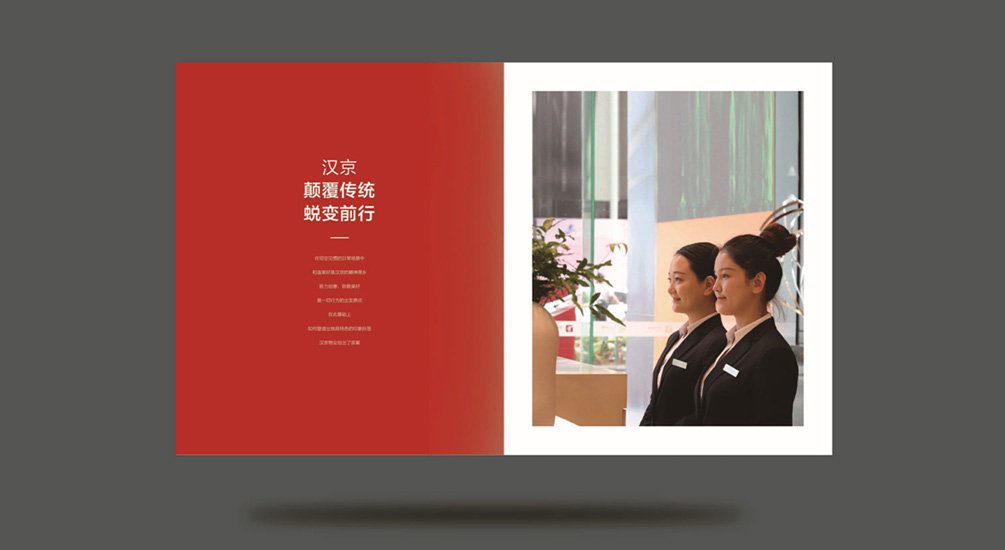 1613731259513799.jpg 案例祥情8.jpg