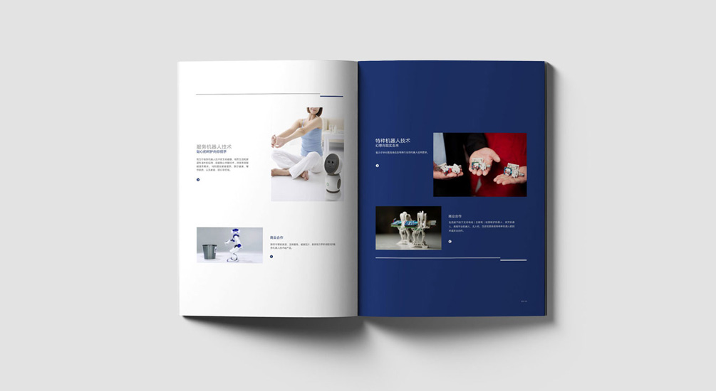 1613731613280352.jpg 案例祥情4.jpg