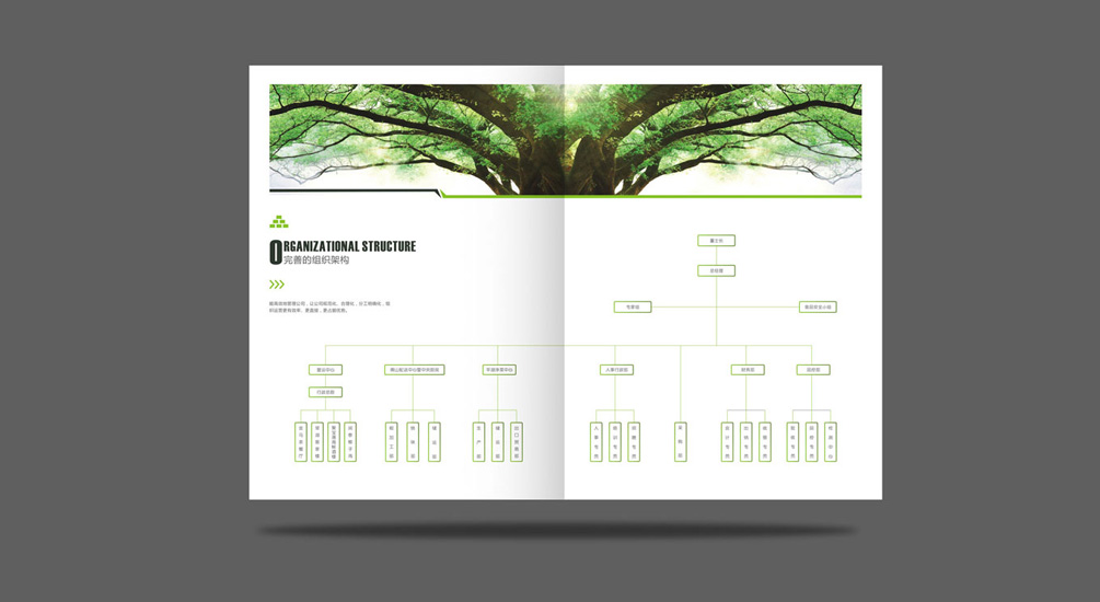 1613731935451145.jpg 案例祥情7.jpg