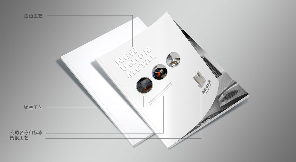 1613795217125243.jpg 案例祥情1.jpg