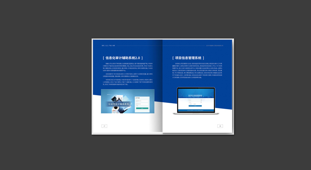 1613795406856332.jpg 案例祥情8.jpg