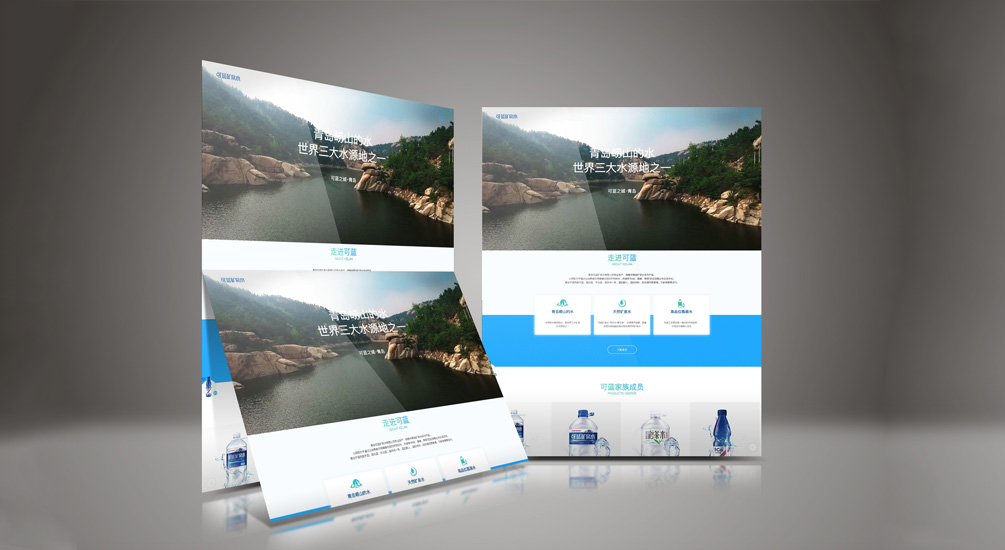 1613882681138704.jpg 案例祥情2.jpg